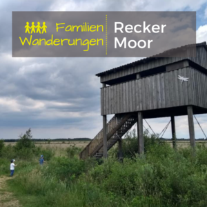 Wandertipp Jessica Focke: Recker Moor