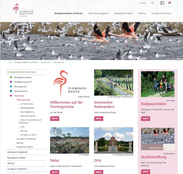 Website Flamingoroute
