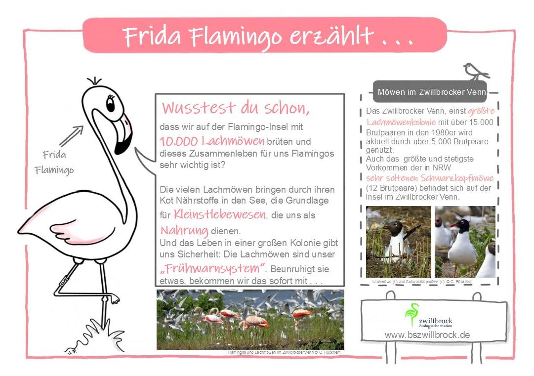 Frida Flamingo erzählr